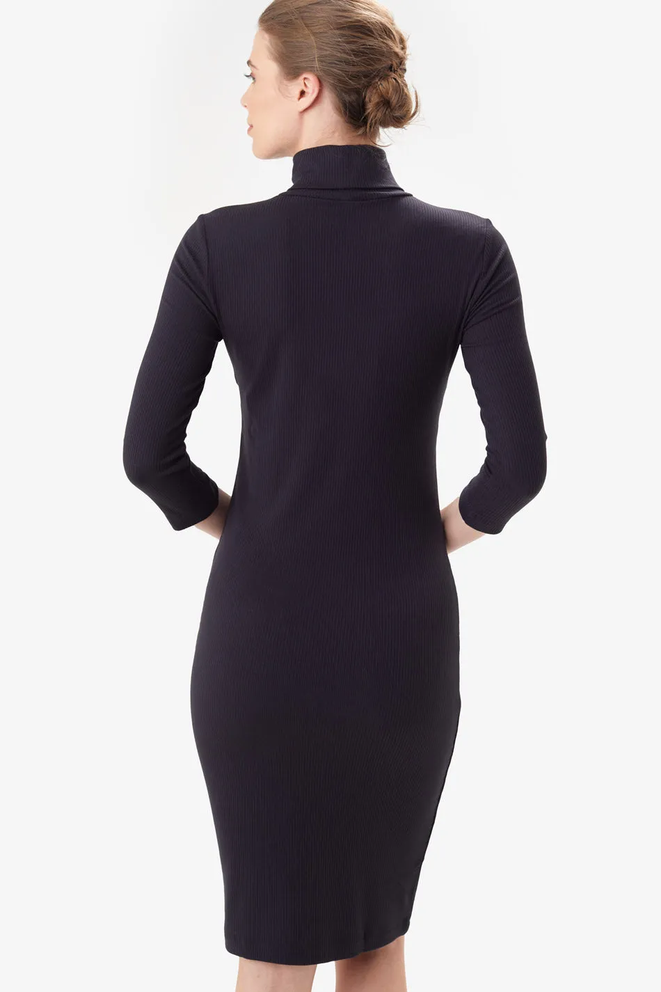 Villeray Turtleneck Dress